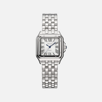 Premium Silver Stainless Steel