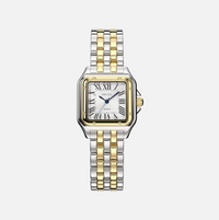 Premium Two Tone Stainless Steel